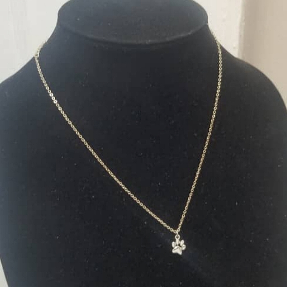 Silver Paw 🐾 Pendant Goldtone Necklace🌴